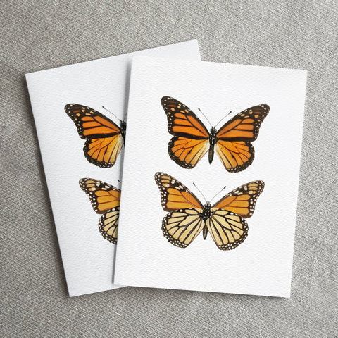 Vintage Monarch Butterfly Card, Nature Greeting Card