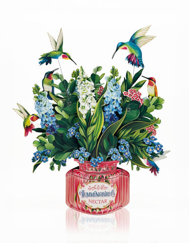 Hummingbird Oasis