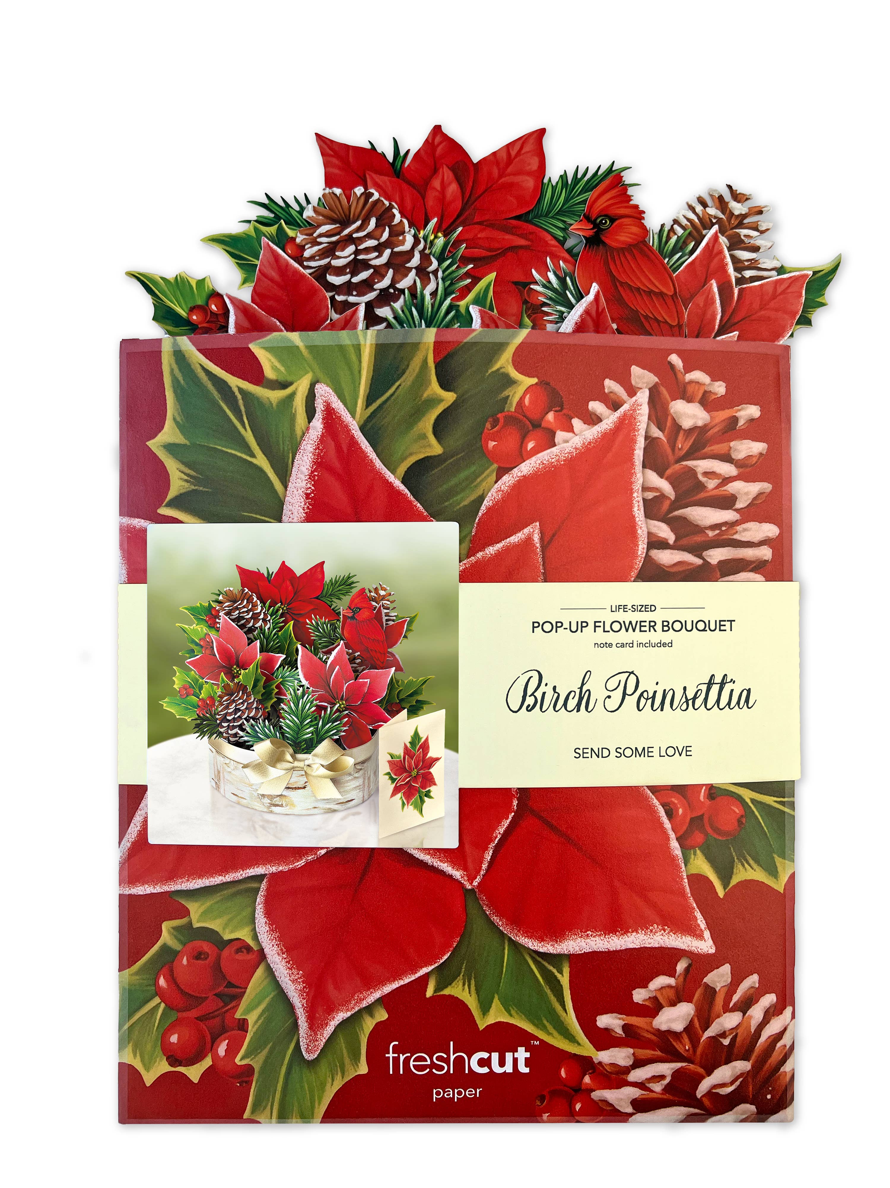 Birch Poinsettia (Pop-up Greeting Card)