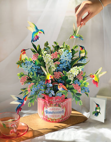 Hummingbird Oasis