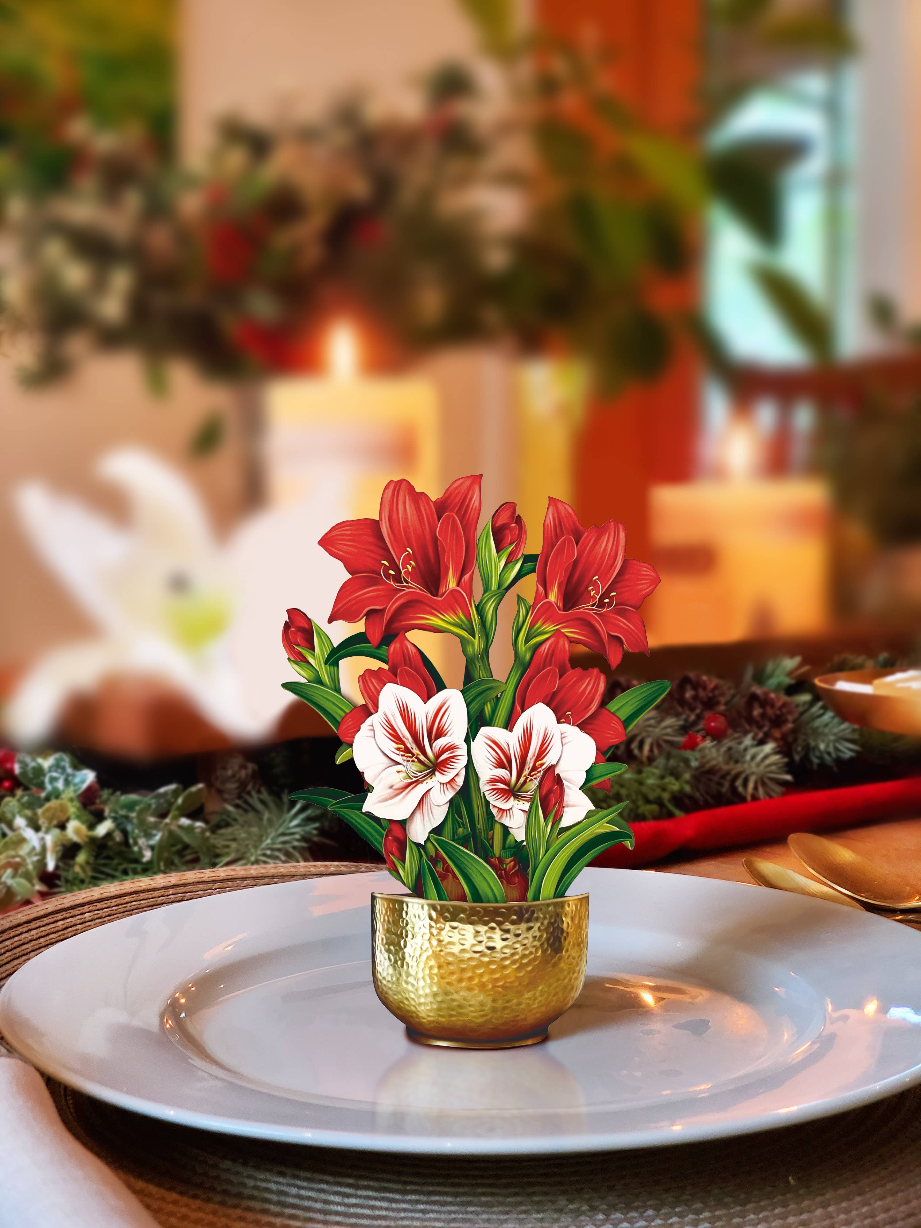 Mini Scarlett Amaryllis  (Pop-up Greeting Card)