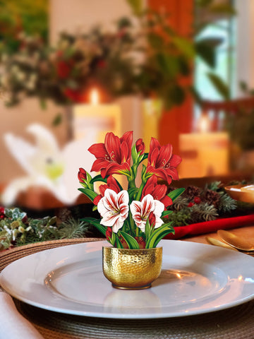Mini Scarlett Amaryllis  (Pop-up Greeting Card)