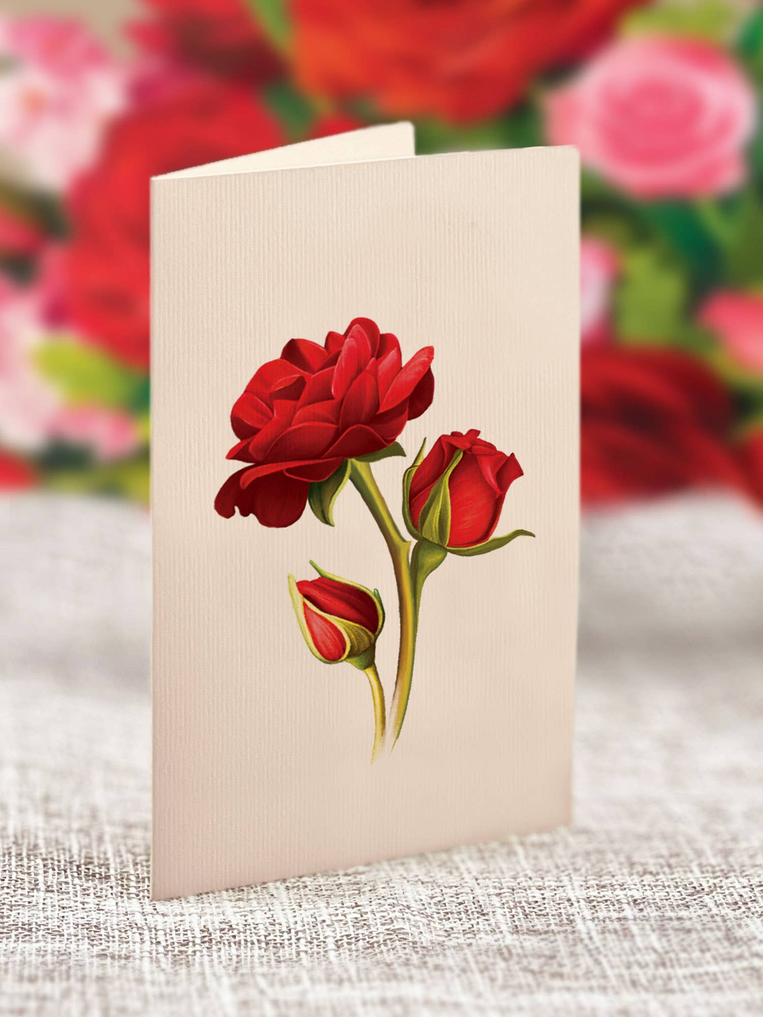 Blooming Roses (Pop-up Greeting Card)