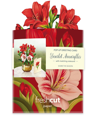 Mini Scarlett Amaryllis  (Pop-up Greeting Card)